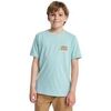 T-shirt enfant Quiksilver Fruits Tide