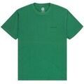 Tee-shirts sur Grenoble : T-shirt Element Lowcase Pigment