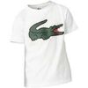 T-shirt enfant Lacoste Junior