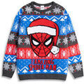 Pulls/Sweat sur Grenoble : Pull enfant Marvel Character Face Pull de No&euml;l Bleu