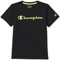 Tee-shirts sur Grenoble : T-shirt Champion - T-shirt col rond - noir
