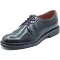 Chaussures sur Grenoble : Ville basse NeroGiardini E500601U Wembley