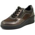 Chaussures Osvaldo Pericoli Basket Femme, Cuir et Daim, Lacets et Zip - REGINA Marron