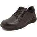 Randonn&eacute;e sur Grenoble : Chaussures Osvaldo Pericoli Derby pour Homme, Cuir souple, Lacets et Zip - TEDDY502 Marron