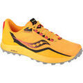 Running sur Grenoble : Chaussures Saucony Peregrine 12