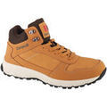 Randonn&eacute;e sur Grenoble : Chaussures Campus Norden Marron