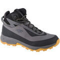 Randonn&eacute;e sur Grenoble : Chaussures 4F Ice Cracker Trekking Shoes Gris