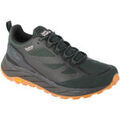Chaussures Jack Wolfskin Terraventure Texapore Low M Vert