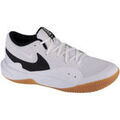 Audio sur Grenoble : Chaussures Nike Hyperquick