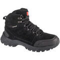 Randonn&eacute;e sur Grenoble : Chaussures Campus Masif Noir