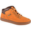 Baskets homme sur Grenoble : Baskets basses Timberland Davis Square Mid