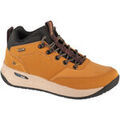 Randonn&eacute;e sur Grenoble : Chaussures Joma Ter Men 2426 Jaune