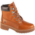 Randonn&eacute;e sur Grenoble : Chaussures Timberland Carnaby Cool 6 In Boot Marron