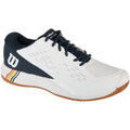 Audio sur Grenoble : Chaussures Wilson Rush Pro Ace Clay RG