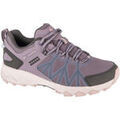 Randonn&eacute;e sur Grenoble : Chaussures Columbia Peakfreak II Outdry Violet