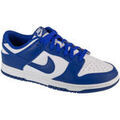 Baskets basses Nike Dunk Low Retro Grenoble