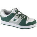 Baskets basses DC Shoes Shoes Manteca SE