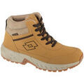 Randonn&eacute;e sur Grenoble : Chaussures Lotto Evedal Mid Marron
