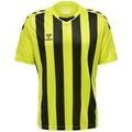 Tee-shirts sur Grenoble : T-shirt hummel T-shirt Core XK ray&eacute; Vert