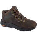 Randonn&eacute;e sur Grenoble : Chaussures Skechers Slip-Ins: Meroe - Pikeman Marron