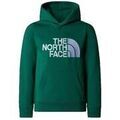 Pulls/Sweat sur Grenoble : Pull enfant The North Face Drew Peak P/O