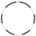 Collier Pearls & Colors Collier Rang de V&eacute;ritables Perle - Pascale multicolor Grenoble