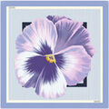 Echarpe Liu Jo ECS FOULARD FLOWERS 70X70 2A6053 T2745