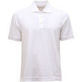 Polo Circolo 1901 -