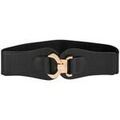 Ceintures sur Grenoble : Ceinture Morgan 261-3ASTRO