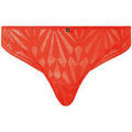 Culottes & autres bas
sur Grenoble : Tangas Morgan Tanga orange Salom&eacute; Orange