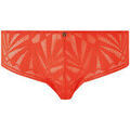 Culottes & autres bas
sur Grenoble : Shorties & boxers Morgan Shorty orange Salom&eacute; Orange