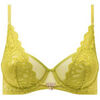 Corbeilles & balconnets Morgan Soutien-gorge armatures vert Amelie Vert