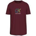 T-shirt Calvin Klein Jeans LV04RD821G Grenoble