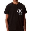 T-shirt Calvin Klein Jeans Ss 20s Eu