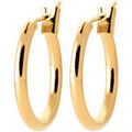 Boucles d'oreille sur Grenoble : Boucles oreilles Brillaxis Cr&eacute;oles plaqu&eacute; or 14mm Jaune