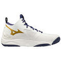 Randonn&eacute;e sur Grenoble : Chaussures Mizuno Indoor Wave Momentum 3 Blanc