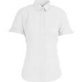 Chemise Brook Taverner BK133 Chemise Brook Taverner BK133 Grenoble