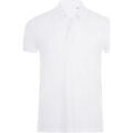 Polo Sols 01708