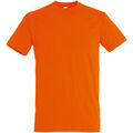 Tee-shirts sur Grenoble : T-shirt Sols Regent