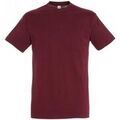 Tee-shirts sur Grenoble : T-shirt Sols Regent