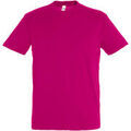 Tee-shirts sur Grenoble : T-shirt Sols Regent