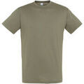 Tee-shirts sur Grenoble : T-shirt Sols Regent