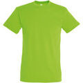 Tee-shirts sur Grenoble : T-shirt Sols Regent