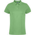 Pull sur Grenoble : Polo Asquith & Fox -