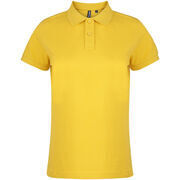 Polo Asquith & Fox -