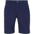 Shorts/Bermuda sur Grenoble : Short Asquith & Fox AQ051