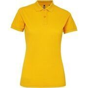 Polo Asquith & Fox AQ025