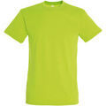 Tee-shirts sur Grenoble : T-shirt Sols Regent