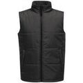 Blouson Regatta Standout