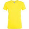 Tee-shirts sur Grenoble : T-shirt Sols Regent